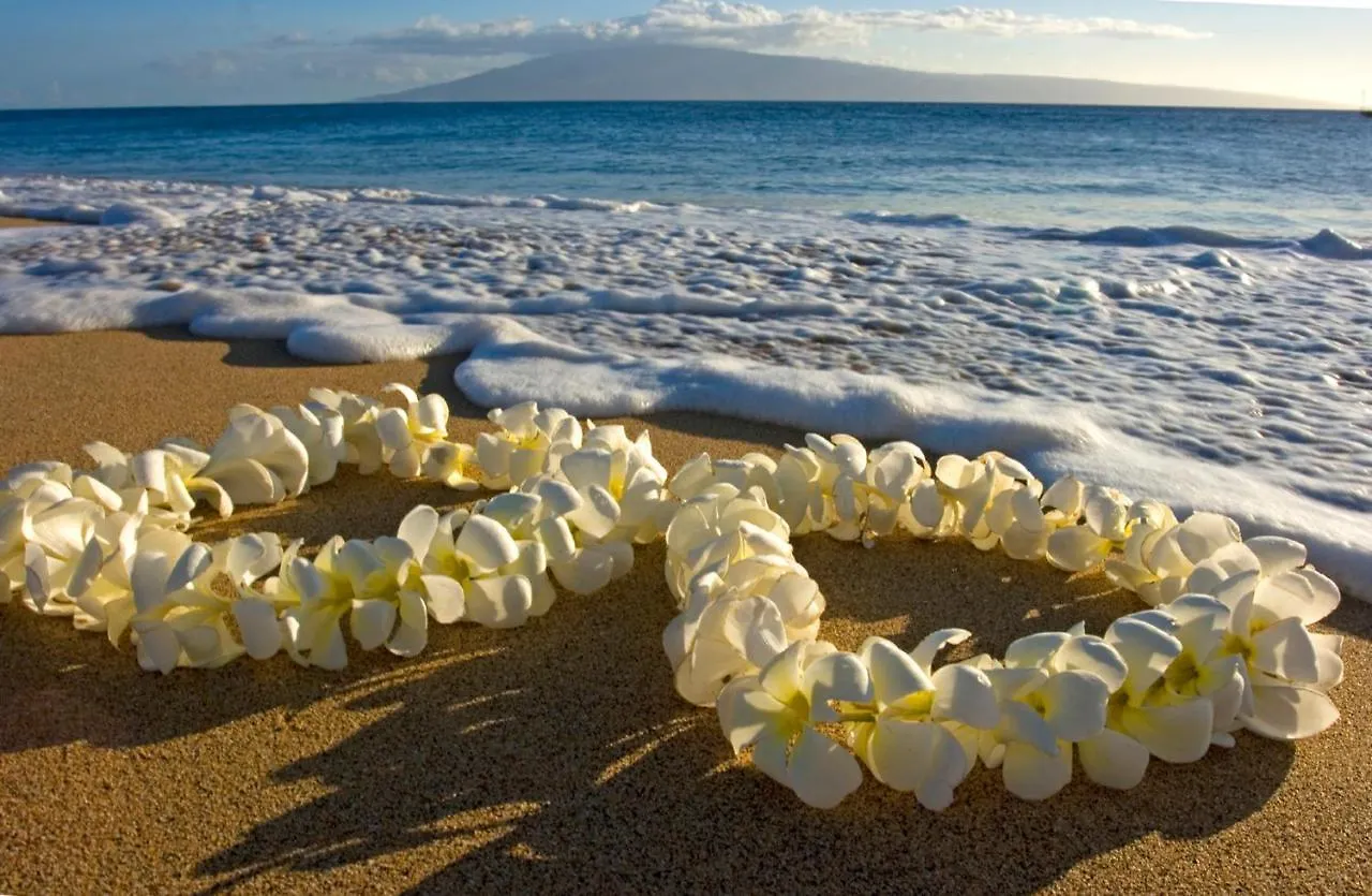 Breathtaking Ocean View 1 Bedroom Condo With Free Parking! Honolulu Amerikai Egyesült Államok