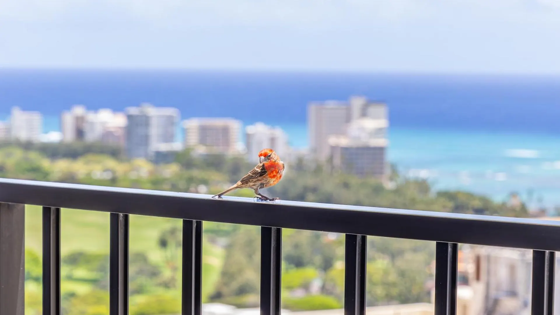 Breathtaking Ocean View 1 Bedroom Condo With Free Parking! Honolulu 0*,